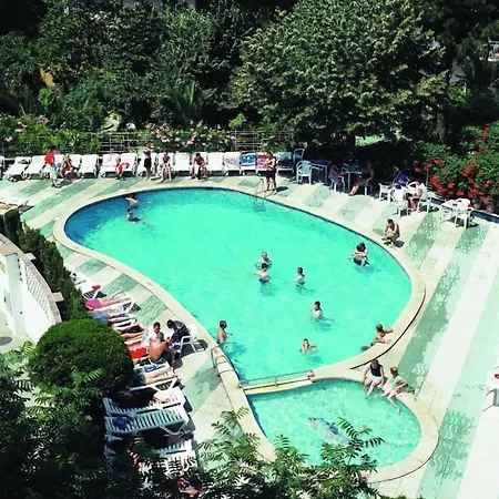 Clipper Affiliated By Fergus 