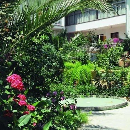 Clipper Affiliated By Fergus 